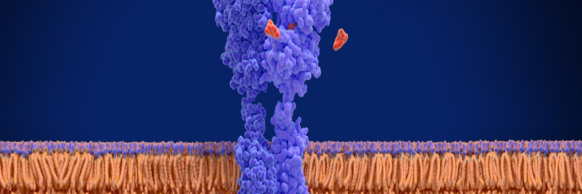 htrf-key-success-tips-to-study-gpcr-signaling-using-the-htrf-advanced-phospho-erk1-2-kit-1920x400.jpg