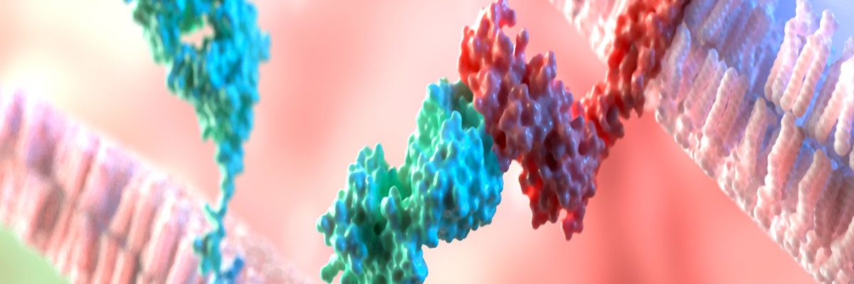 htrf-sensitive-detection-gpcr-1920x400.jpg