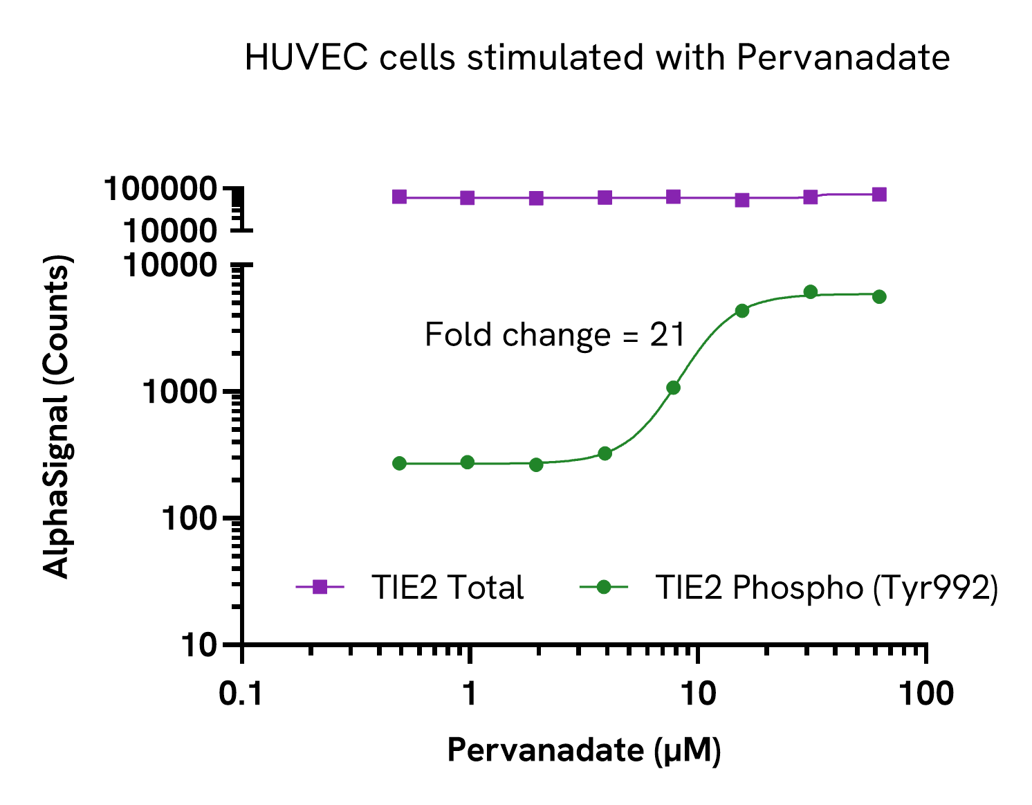 Induction of TIE2 Phospho (Tyr992) in HUVEC cells