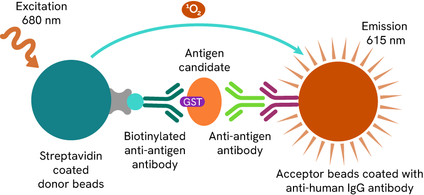 ibd-research-alphalisa-quantification-method