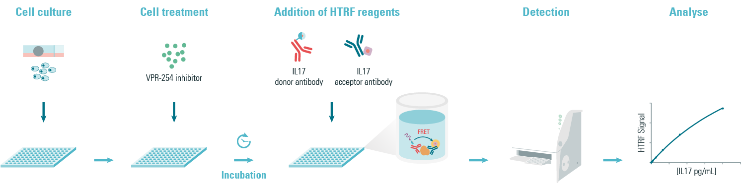 ibd-research-htrf-il17-sandwich-assay-principle