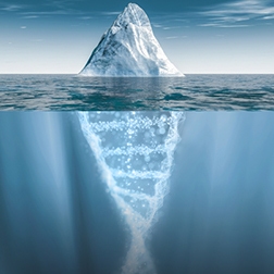 Iceberg