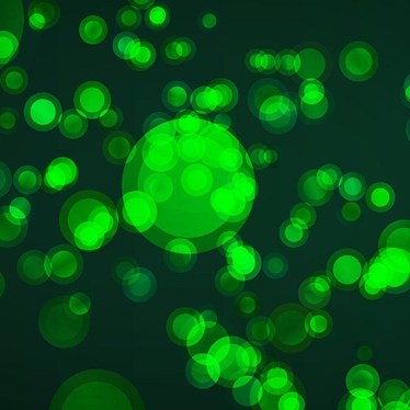 imagamp signal amplification reagents