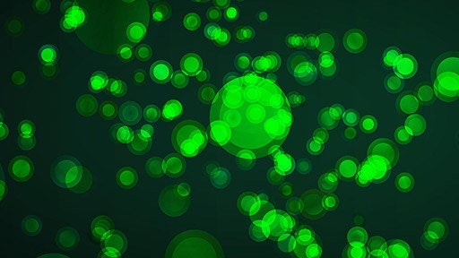 imagamp signal amplification reagents