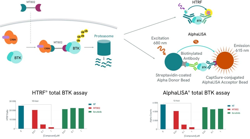 image-11-alphalisa-htrf-protein-degradation-assays-800px