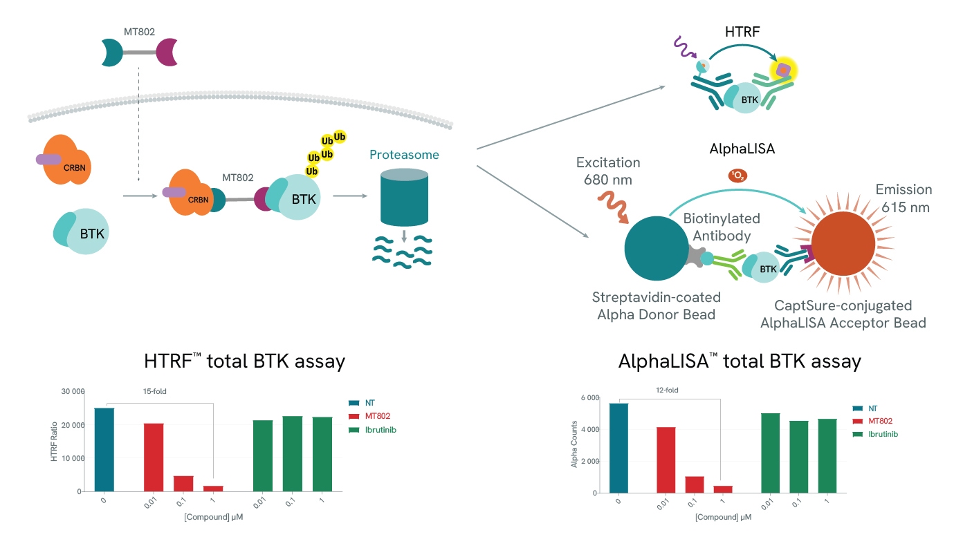 image-11-alphalisa-htrf-protein-degradation-assays