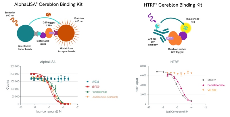 image-6-alphalisa-htrf-cereblon-assays-800px