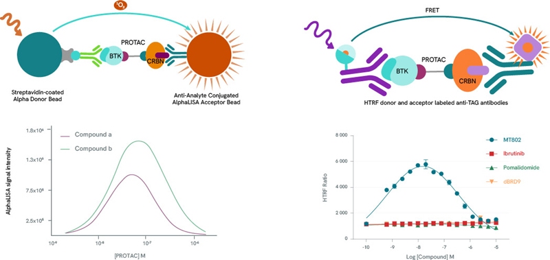 image-8-alphalisa-htrf-protein-protein-assays-800px