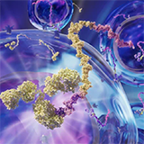 image-totalseq-160px