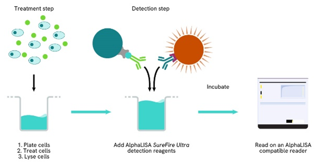 AlphaLISA SureFire Ultra protein complex detection one-plate assay protocol