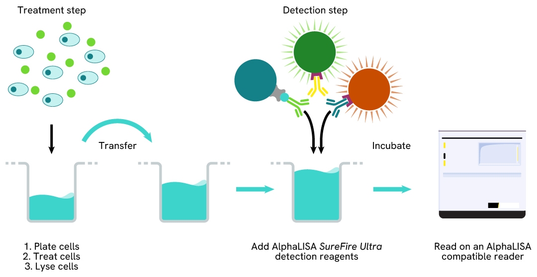 2 Plate Assay Proocol AlphaLISA Mulltiplex SureFire Ultra
