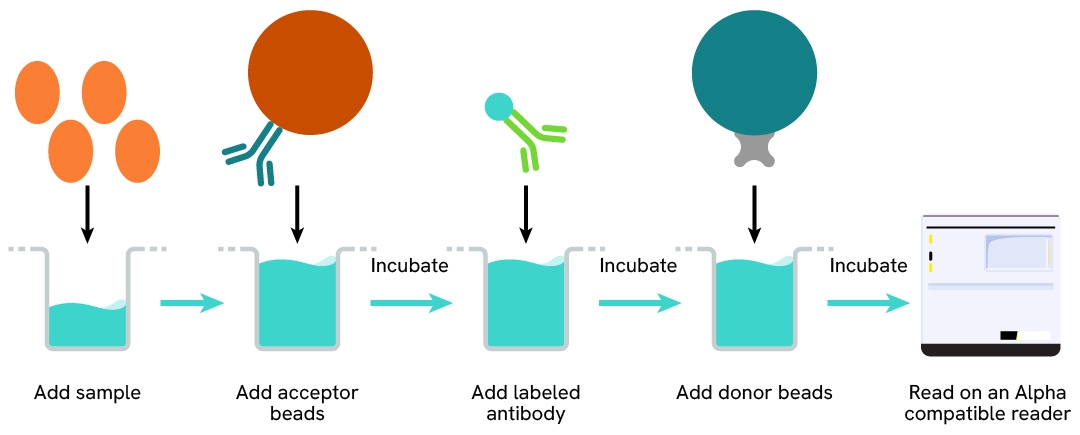 AlphaLISA 3-step assay protocol, acceptor bead first