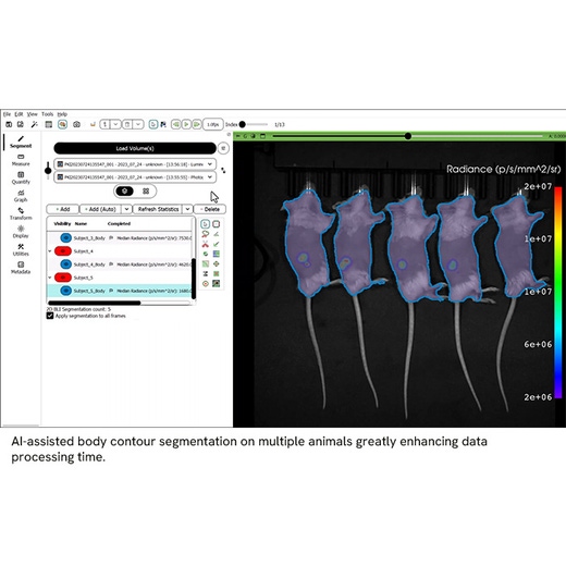 AI-assisted body contour segmentation of bioluminescence imaging of multiple animals using Living Image™ Synergy AI software greatly enhancing data processing time
