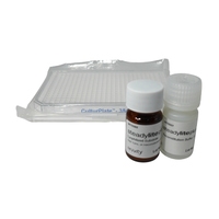 6066756-steadylite-plus-100-assay-kit