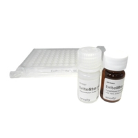 6066766-britelite-plus-100-assay-kit