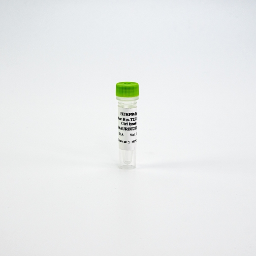 HTRF Human Phospho-Aurora B Thr232 Detection Kit, Control Lysate