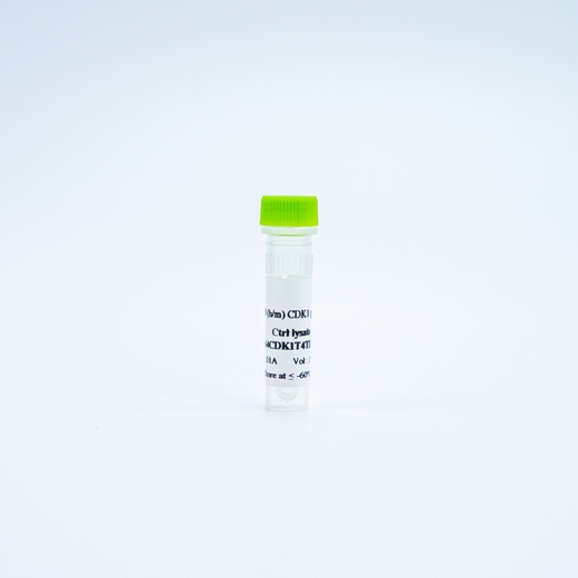 HTRF Human and Mouse Phospho-CDK1 Thr14 Detection Kit, Control Lysate