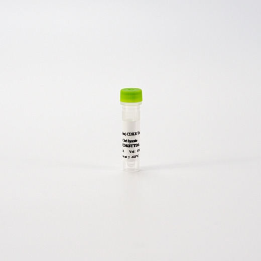 HTRF Human and Mouse Total CDK8 Detection Kit, Control Lysate