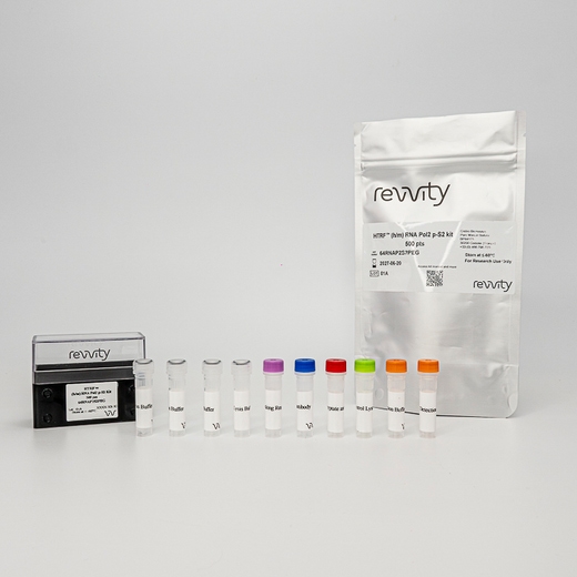 Picture RNA pol 2 phospho Ser2 kit