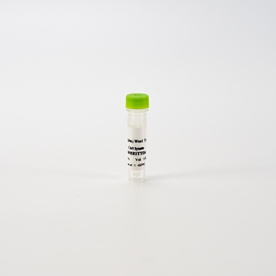 HTRF Human and Mouse Total Wee1 Detection Kit, Control Lysate