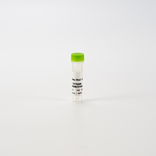 HTRF Human and Mouse Total Wee1 Detection Kit, Control Lysate