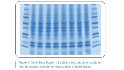 img-Omni-BeadRuptor12-bead-mill-protein-extraction-rat-heart-hard-tissue