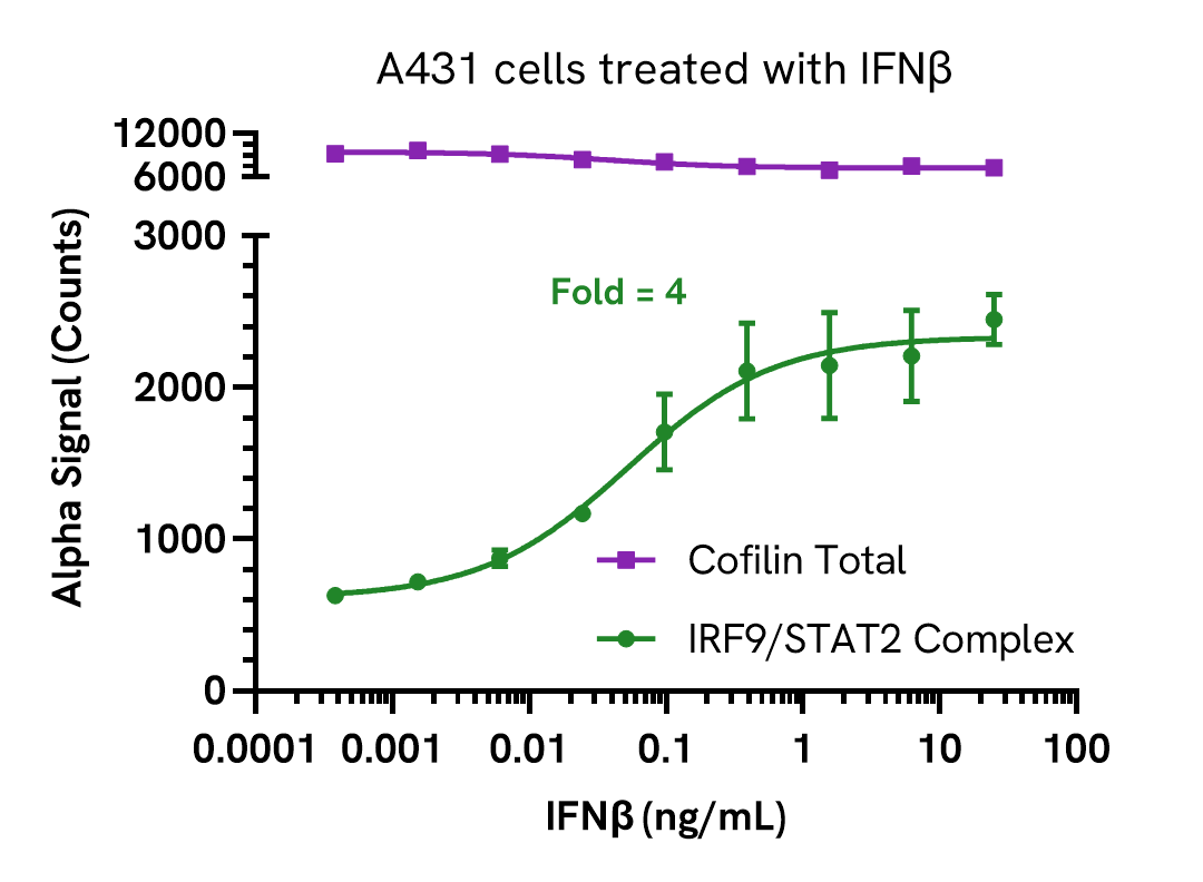 Pharmacological validation (activation) of STAT2/IRF9 Complex