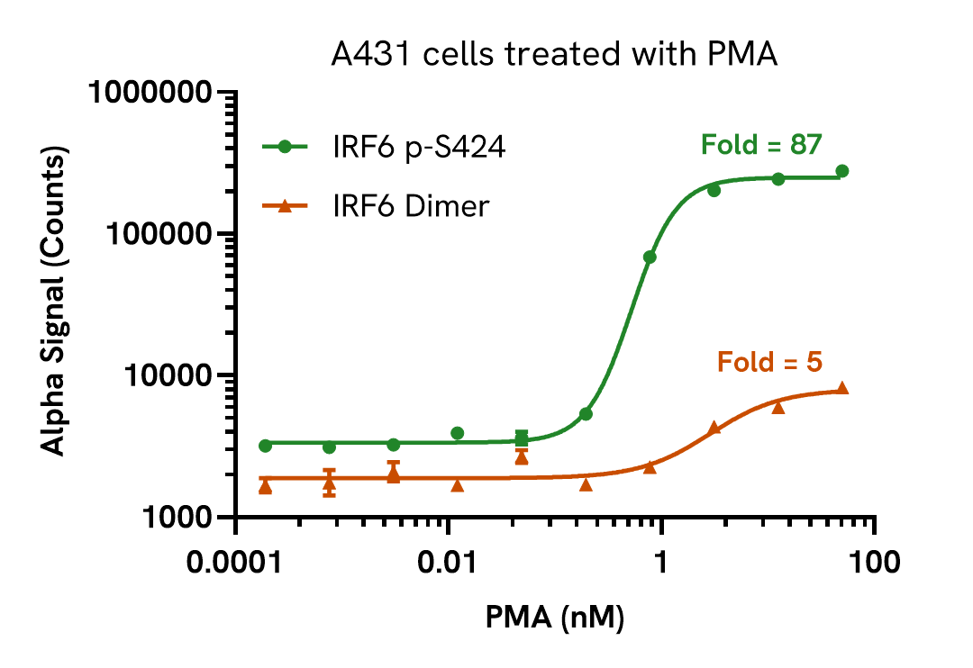 Pharmacological validation (activation) of IRF6 dimer