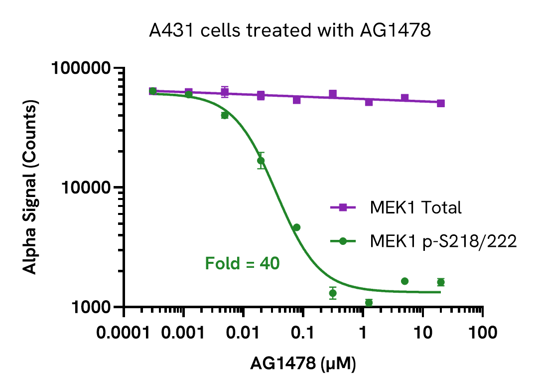 Validation of MEK1 Total in AG1478 treated cells