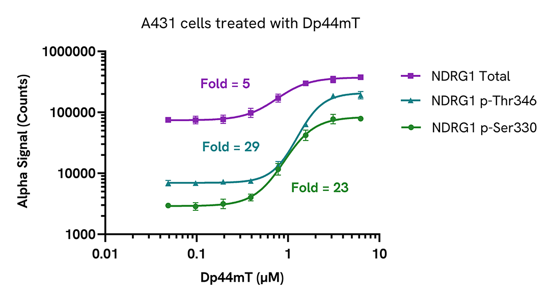 Regulation of NDRG1 activity in endogenous cellular models