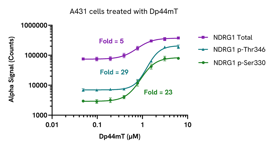 Regulation of NDRG1 activity in endogenous cellular models
