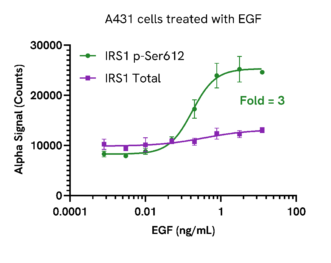Activation of Phospho IRS1 (Ser612) in endogenous cellular models