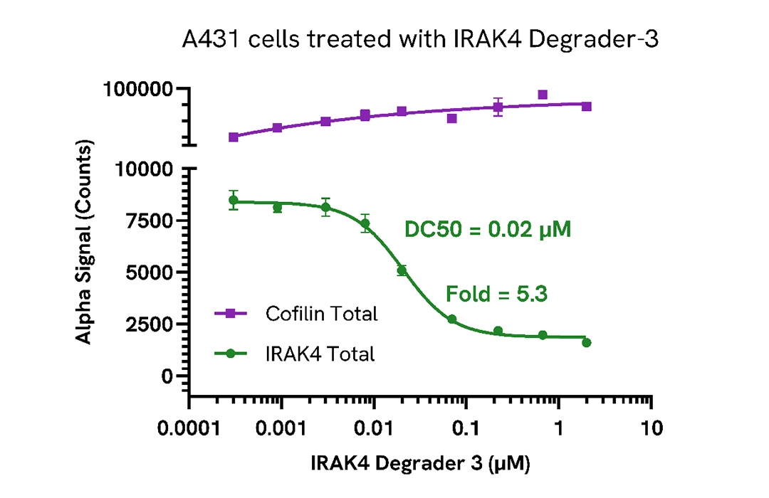 IRAK4 Degradation in endogenous cell models