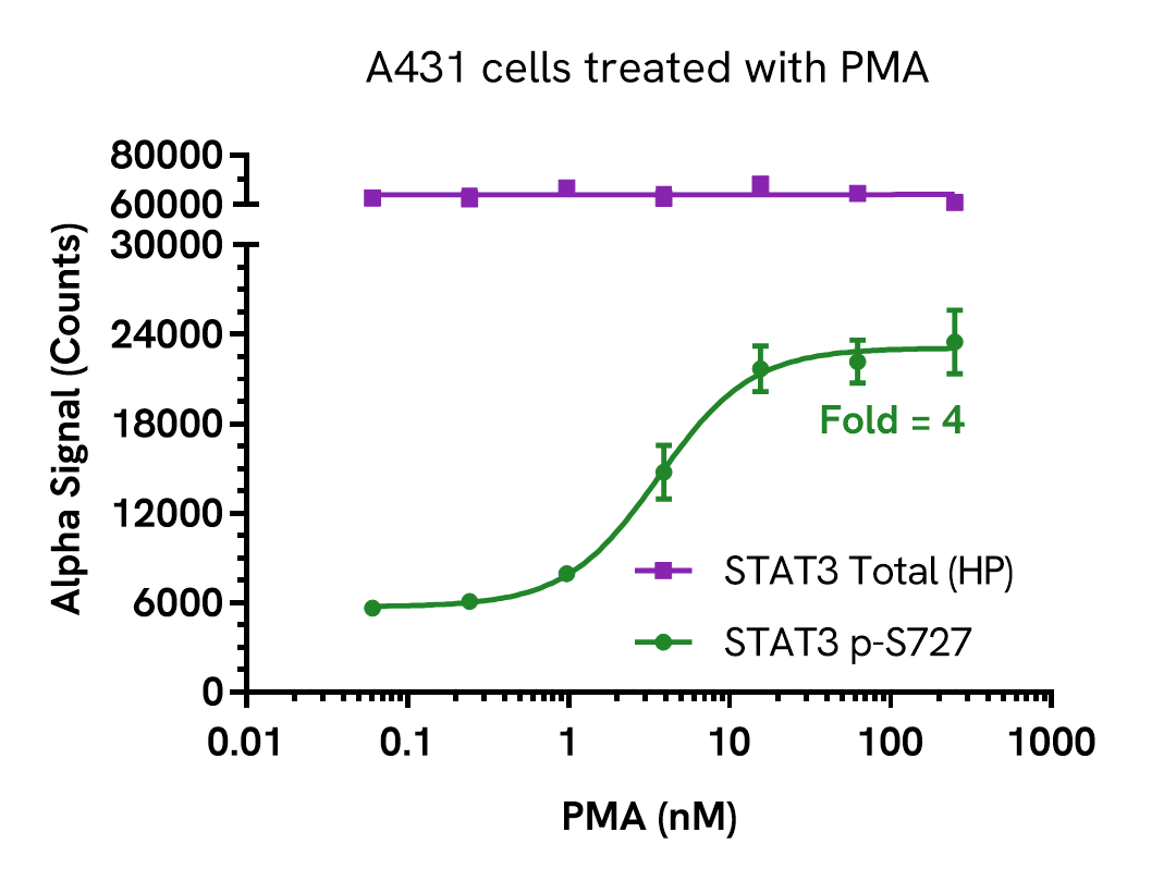 Pharmacological Validation (Activation) of STAT3 Phospho (Ser727) assay