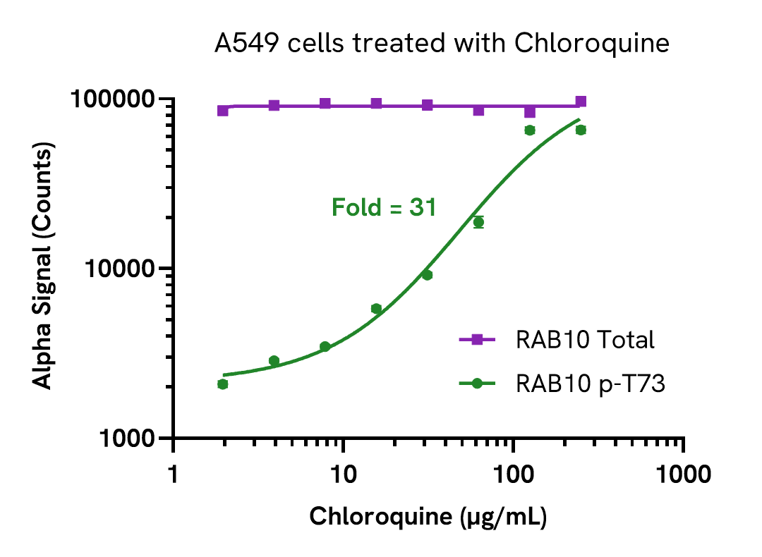 Activation of RAB10 phosphorylation