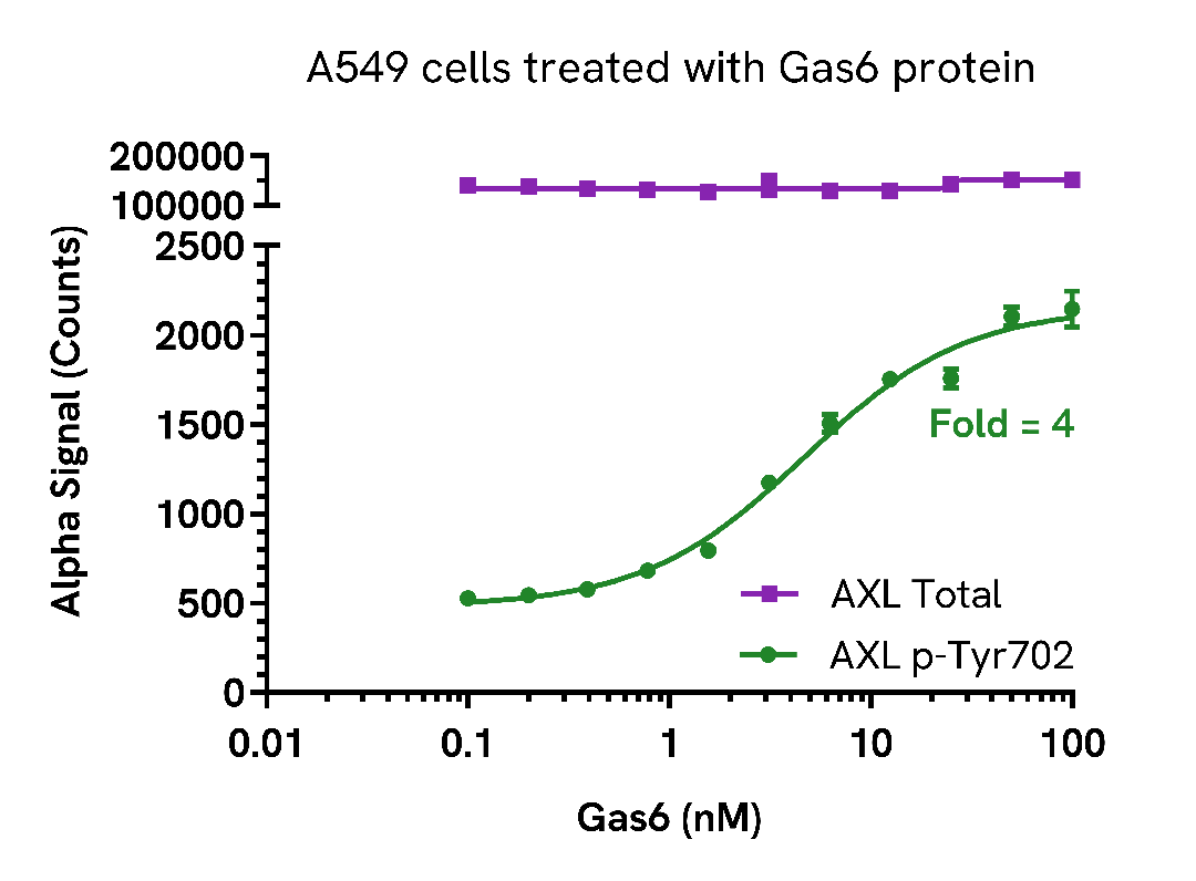 Validation of AXL Total in cells treated with Gas6 protein