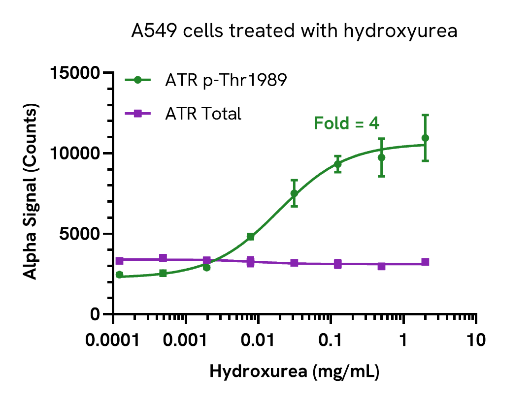 Pharmacological Validation (Activation) of ATR (Thr1989) assay