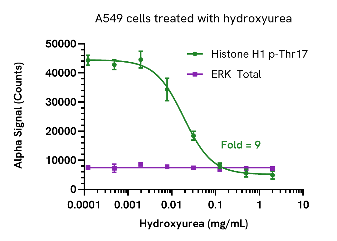 Pharmacological Validation (inhibitor) of Histone H1 Phospho (Thr17) assay