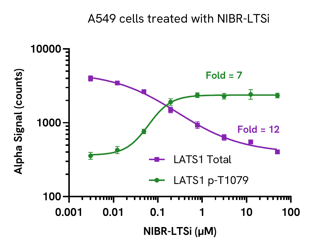 Pharmacological validation – Phospho LATS1
