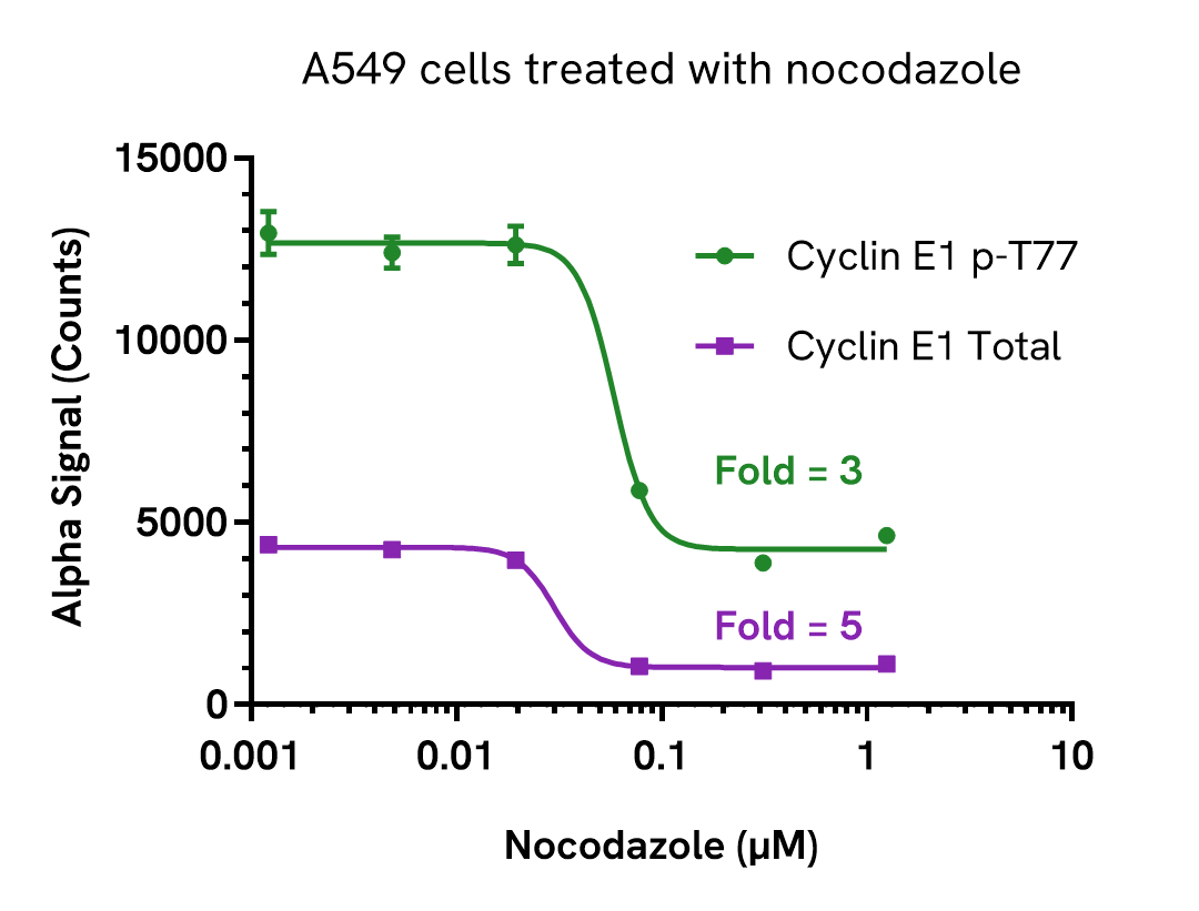 Pharmacological Validation (inhibitor) of Cyclin E1 Total assay