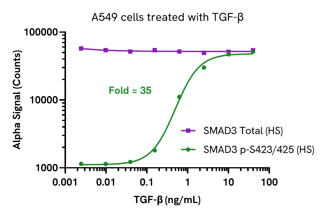 Pharmacological Validation - SMAD3 Total