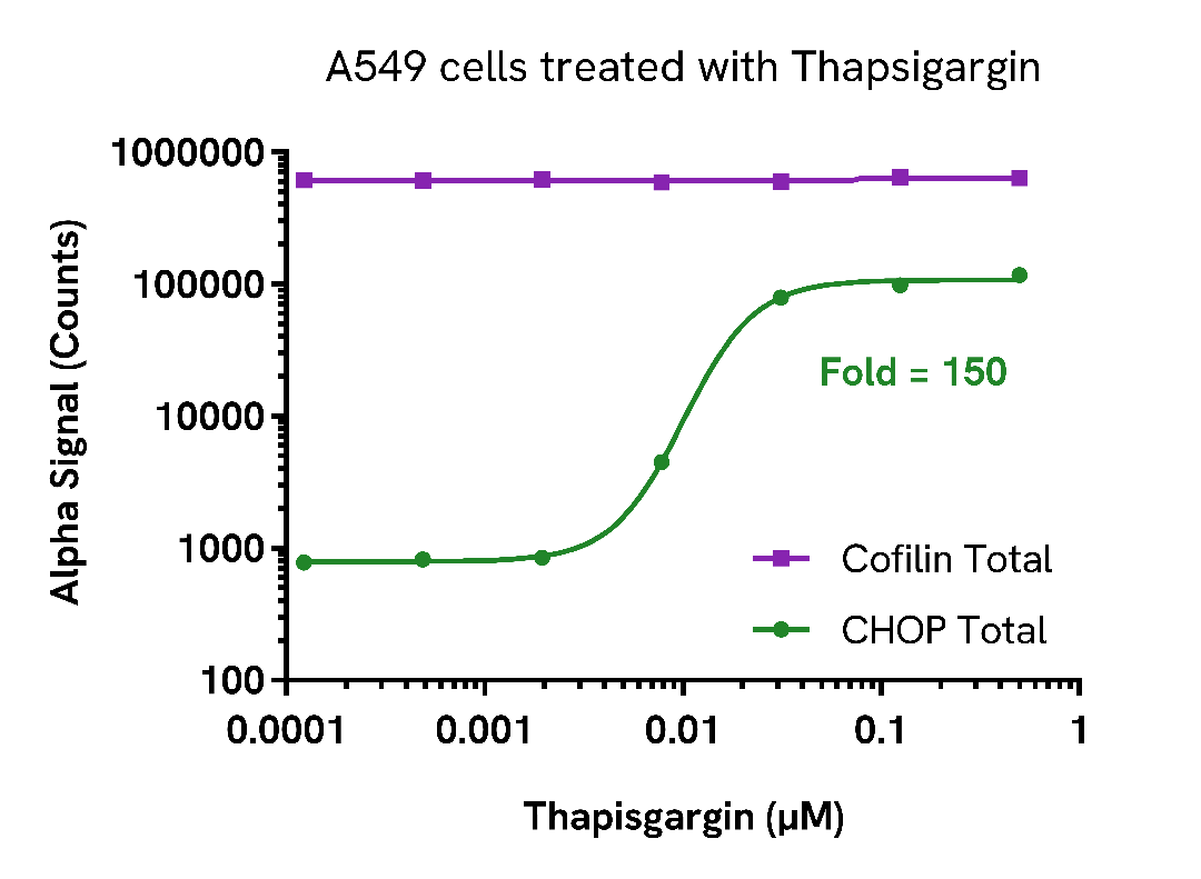 Induction of CHOP expression in Thapsigargin treated cells