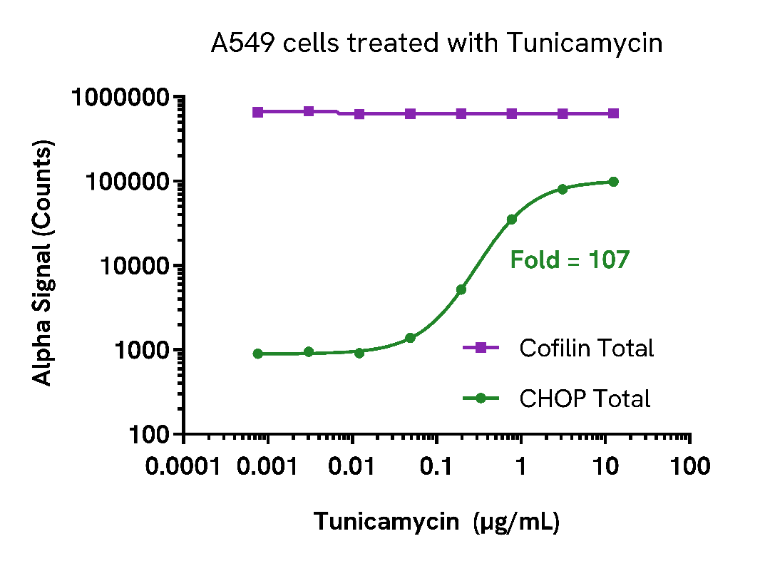 Induction of CHOP expression in Tunicamycin treated cells