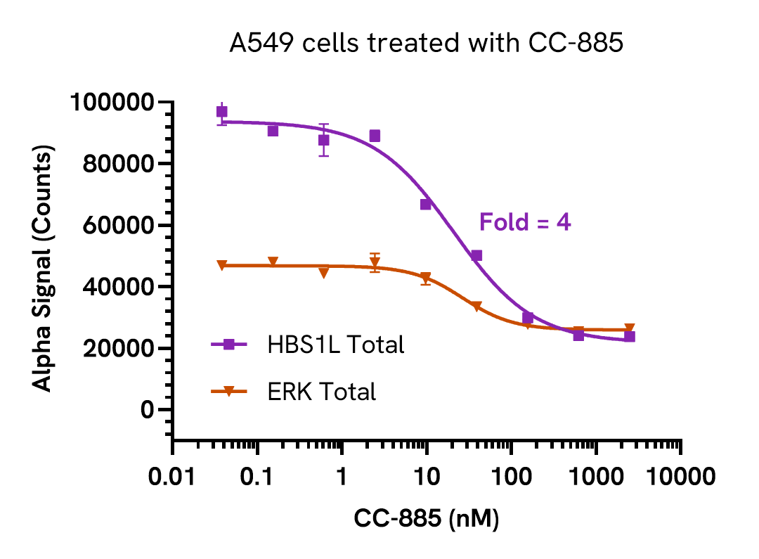 Assay Validation – CC-885 induced degradation