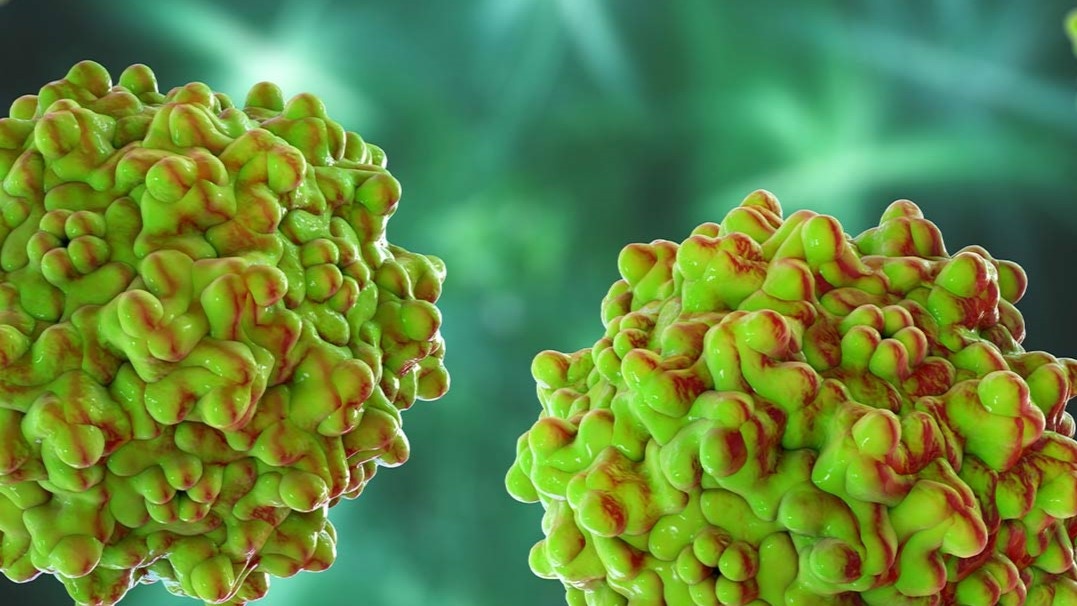 aav manufacturing service