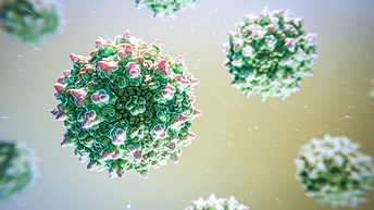 AAV Reference Material Thumbnail