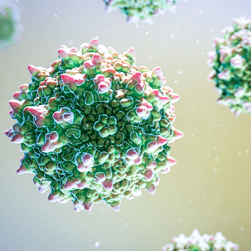 AAV Reference Material Hero