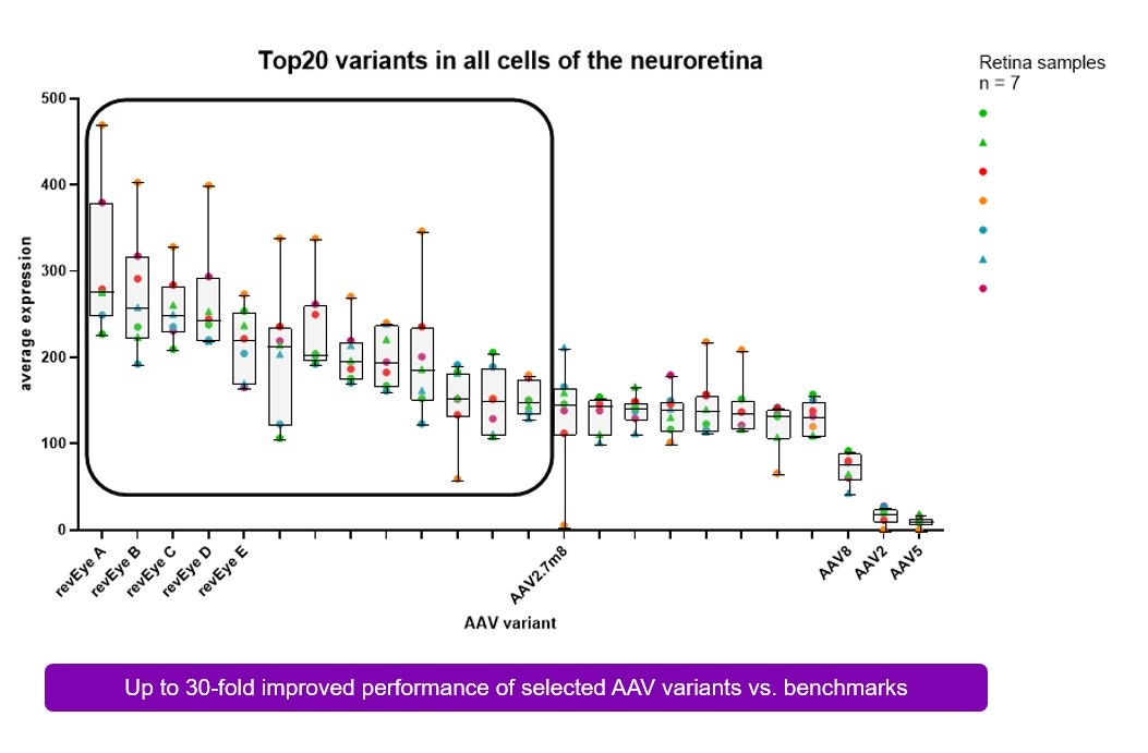 AAV retina case study