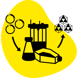 Viral Vector Manufacturing