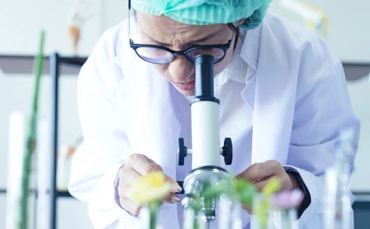 Accelerating Nucleic Acid Extraction In Agriculture